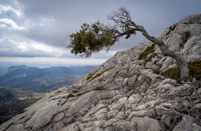 Des Moines: The Importance of Resilience in Overcoming Trauma